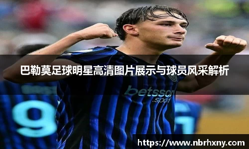 巴勒莫足球明星高清图片展示与球员风采解析